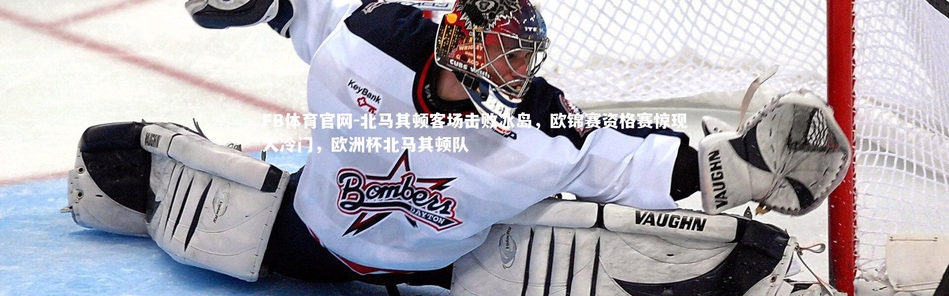 FB体育官网-北马其顿客场击败冰岛，欧锦赛资格赛惊现大冷门，欧洲杯北马其顿队