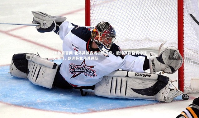 FB体育官网-北马其顿客场击败冰岛，欧锦赛资格赛惊现大冷门，欧洲杯北马其顿队