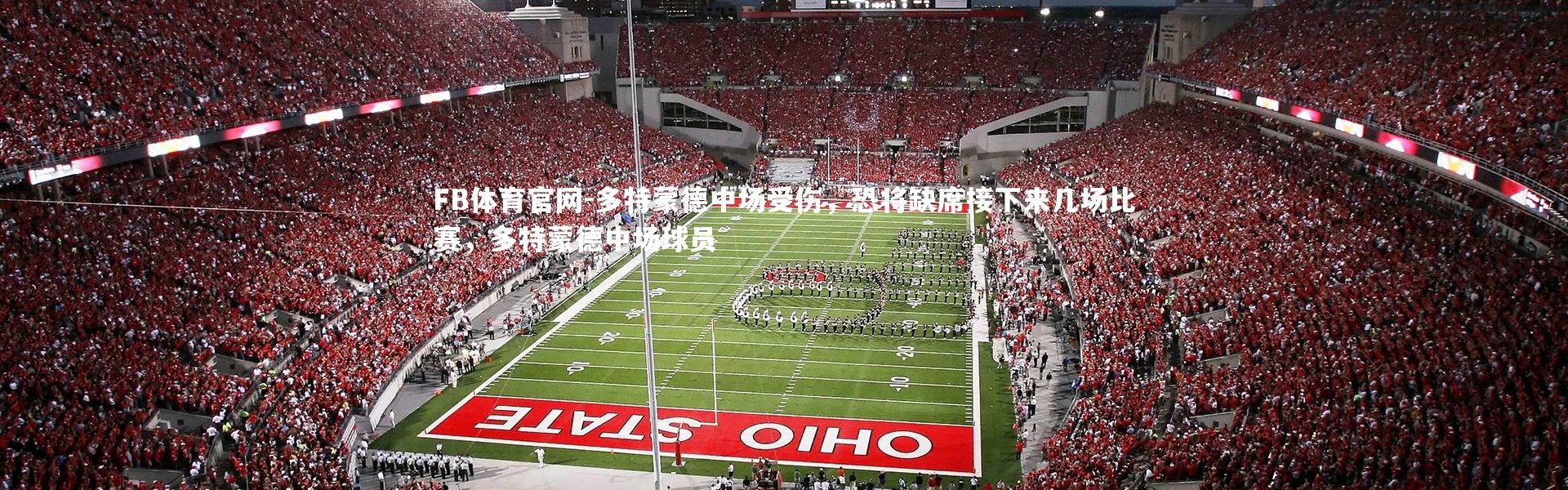 FB体育官网-多特蒙德中场受伤，恐将缺席接下来几场比赛，多特蒙德中场球员