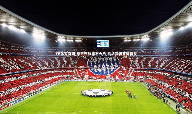 FB体育官网-意甲劲旅状态火热 欧战赛场蓄势待发