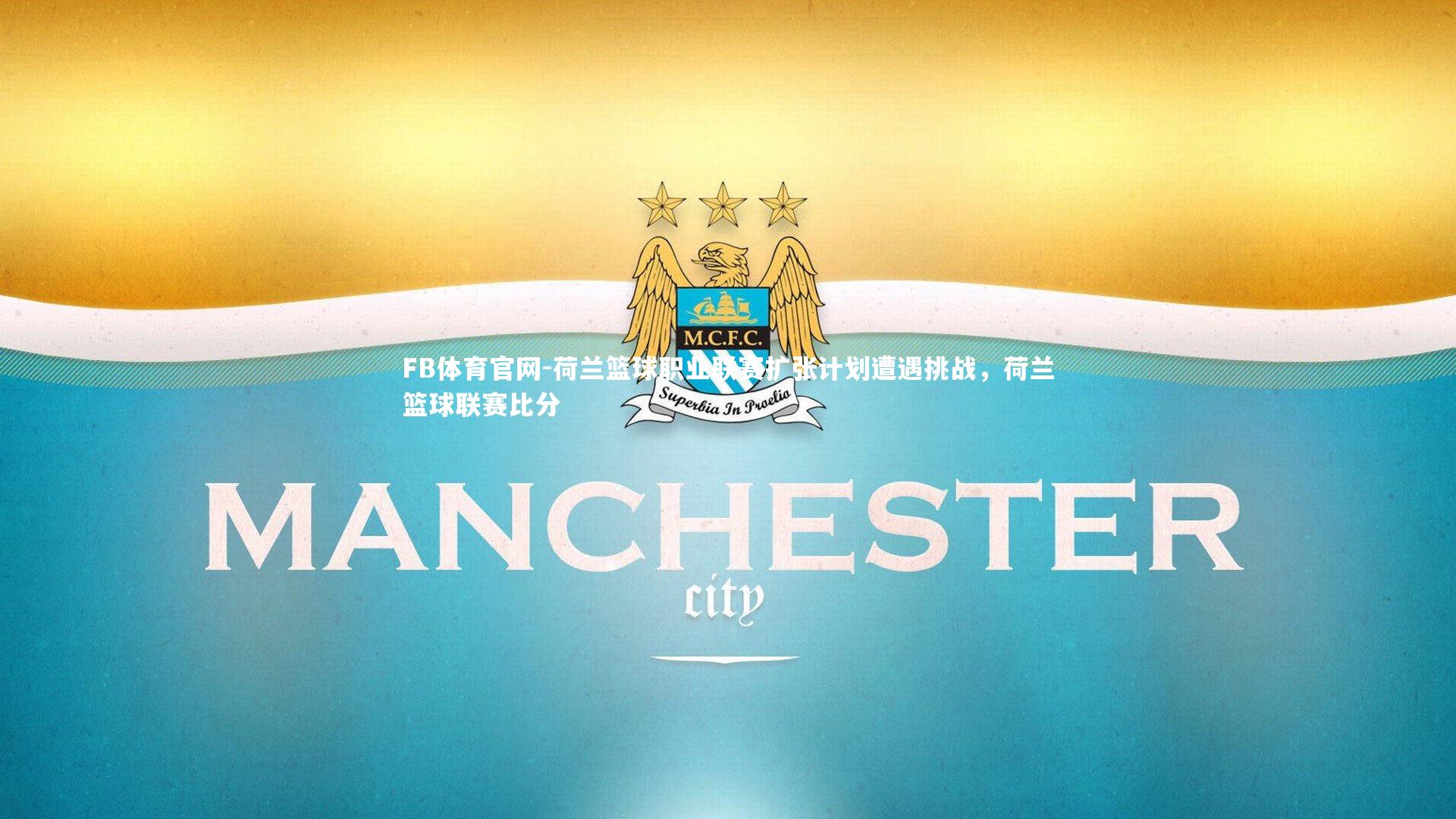 荷兰篮球职业联赛扩张计划遭遇挑战，荷兰篮球联赛比分